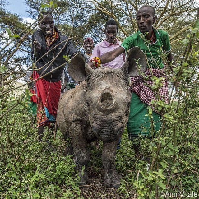   National Geographic  Instagram