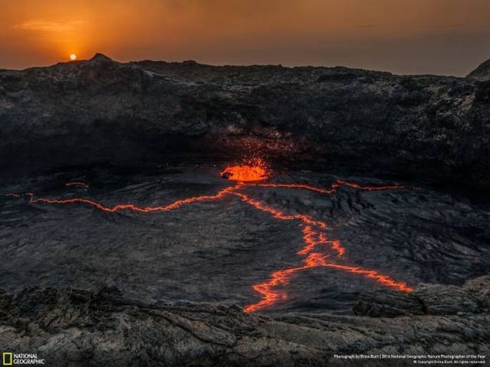    National Geographic Nature Photographer 2016