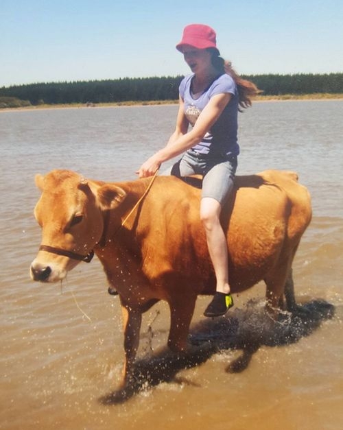 В Новой Зеландии девочка превратила корову в лошадь