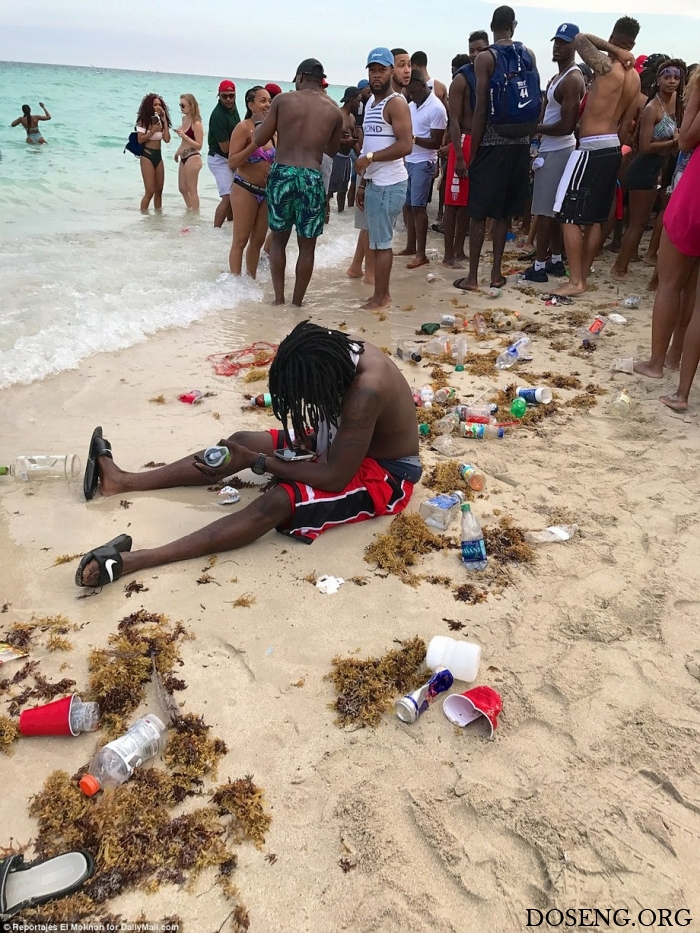 Дикие вечеринки студентов в Майами