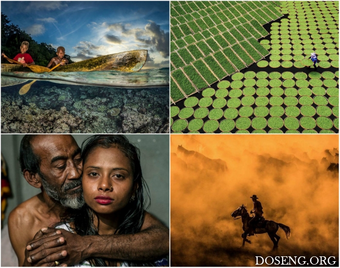 Лучшие работы фотоконкурса Sony World Photography Awards