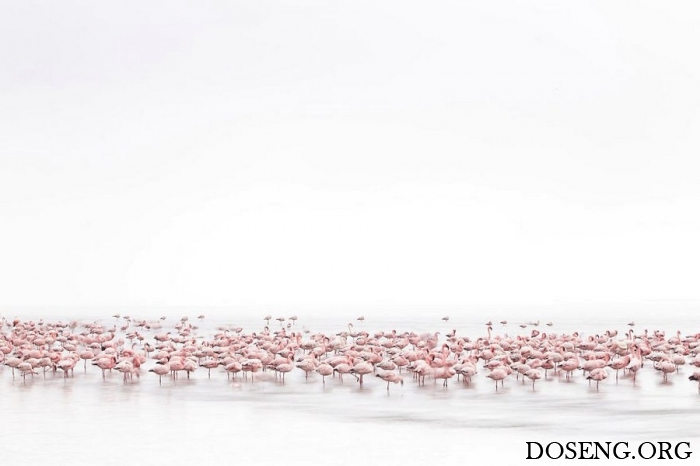    Sony World Photography Awards