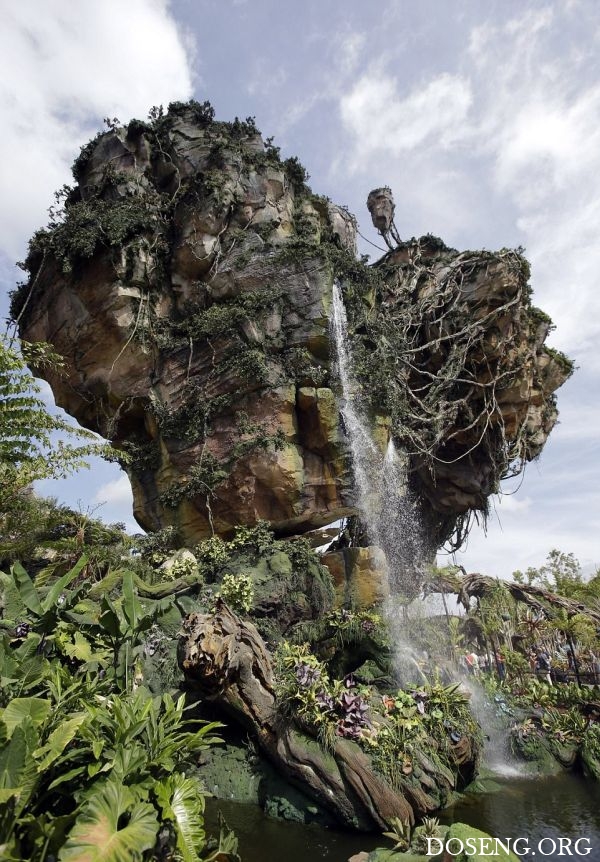   Pandora World of Avatar land  Disney World