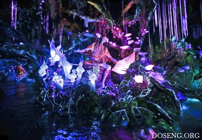   Pandora World of Avatar land  Disney World