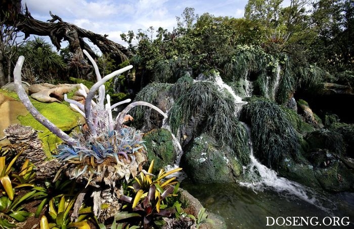   Pandora World of Avatar land  Disney World