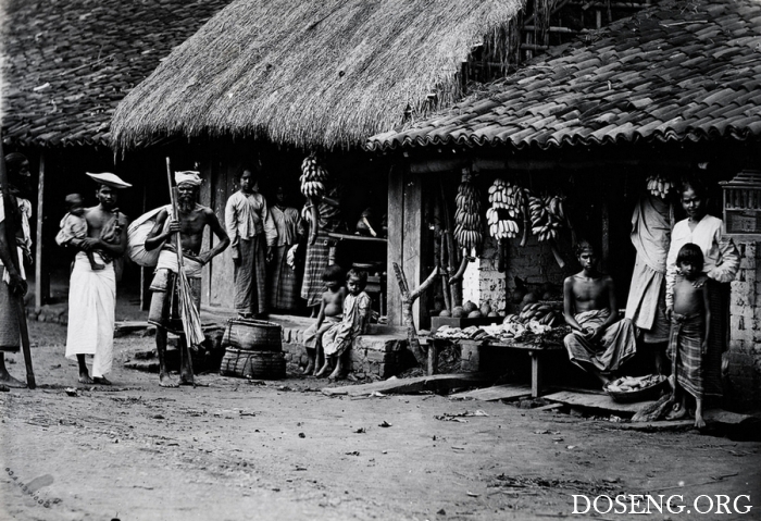 Редчайшие снимки повседневной жизни Шри-Ланки в 1880-х годах