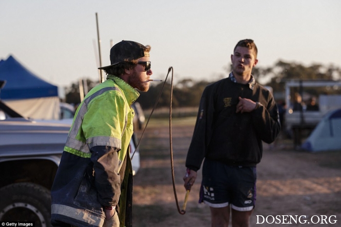 "Deni Ute Muster 2017"  