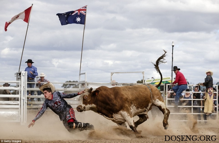 "Deni Ute Muster 2017"  