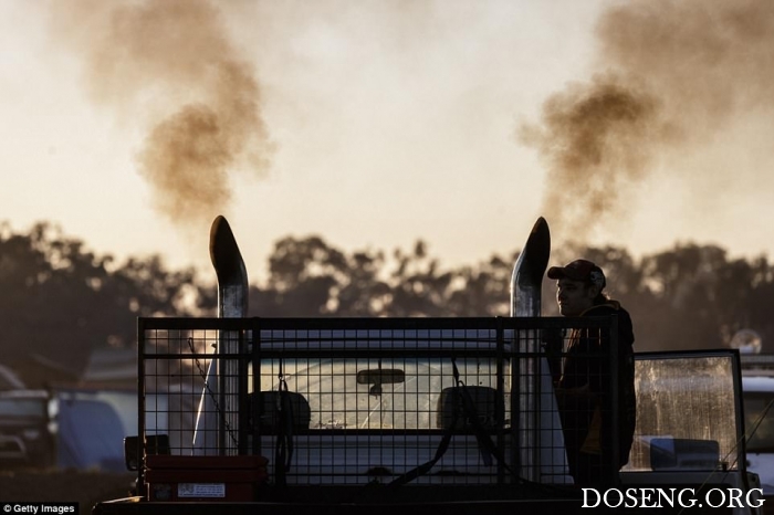 "Deni Ute Muster 2017"  