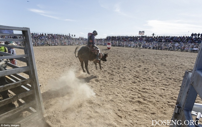 "Deni Ute Muster 2017"  