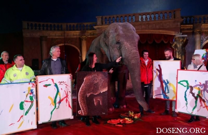 Картины слонихи-художницы продаются по 150 баксов