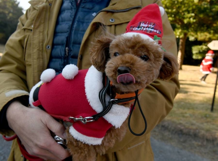  Tokio Santa Run