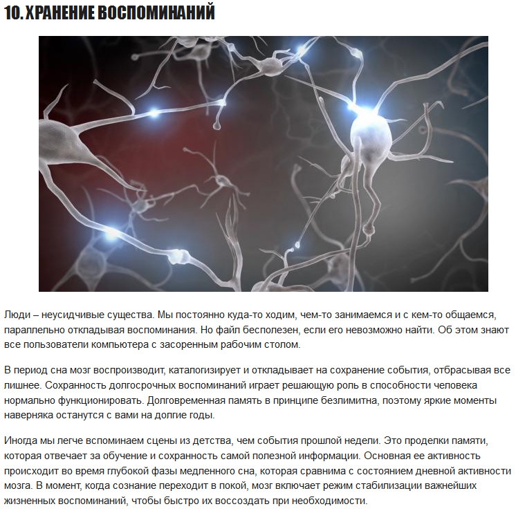 Во сне у человека активность мозга. Во сне активность мозга у животных и человека.