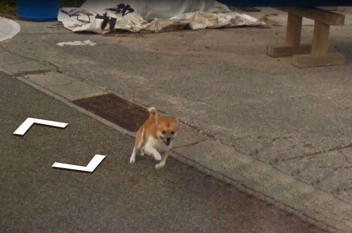     Google Street View     