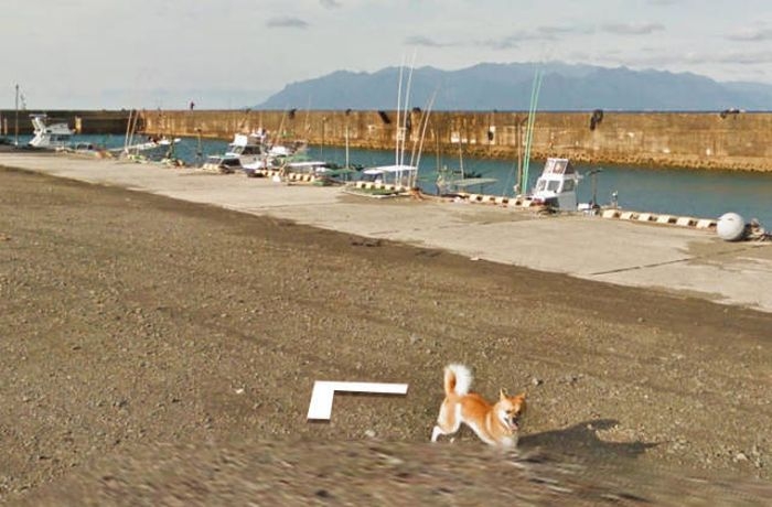     Google Street View     