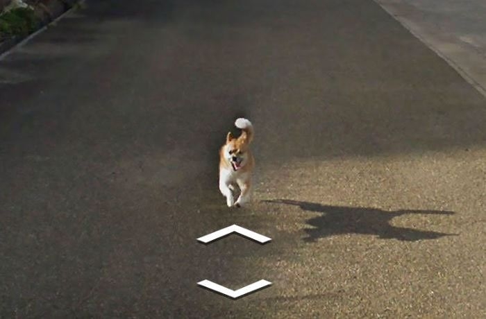     Google Street View     
