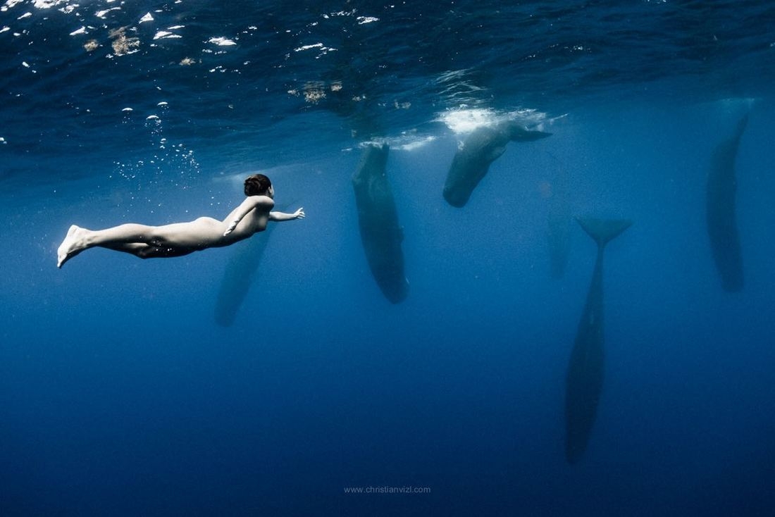 Capturing The Whale's Sensual Side: A Stunning Photo Collection