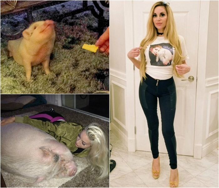 Американка купила себе мини-пига, а он превратился в большую свинью