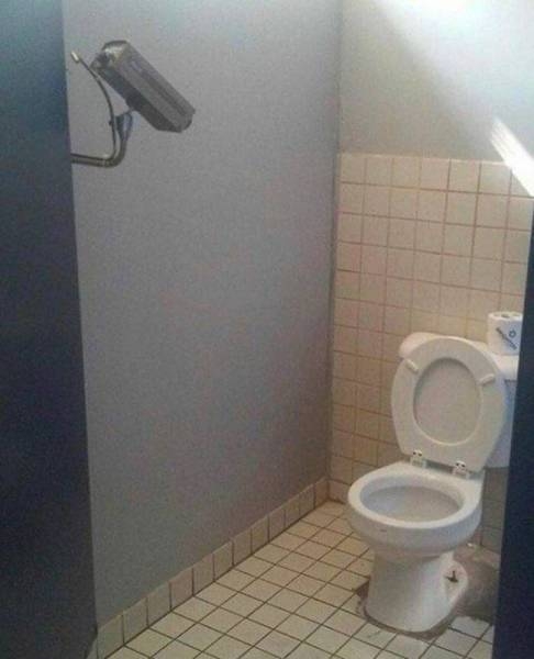 Туалет - самое важное место в любом доме