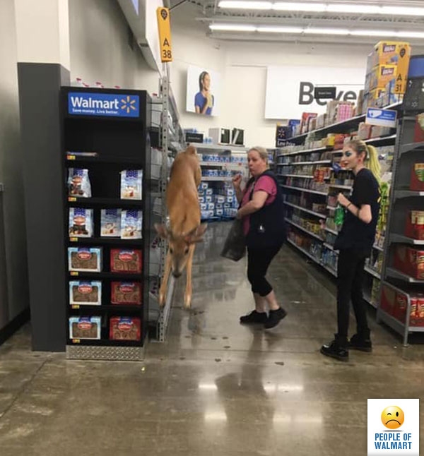   Walmart