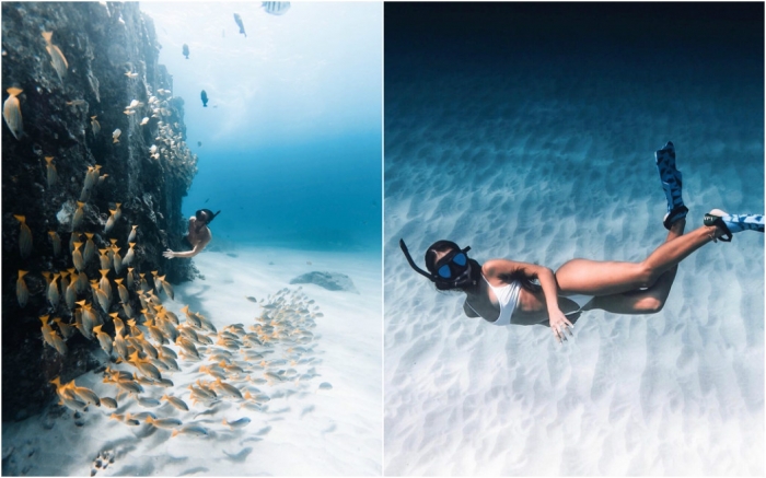 Впечатляющие фотографии морской жизни Нолана Омура