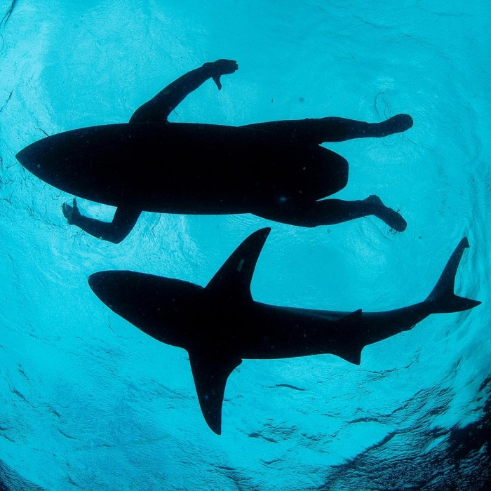 Красивая природа и подводные снимки Томаса Пескака