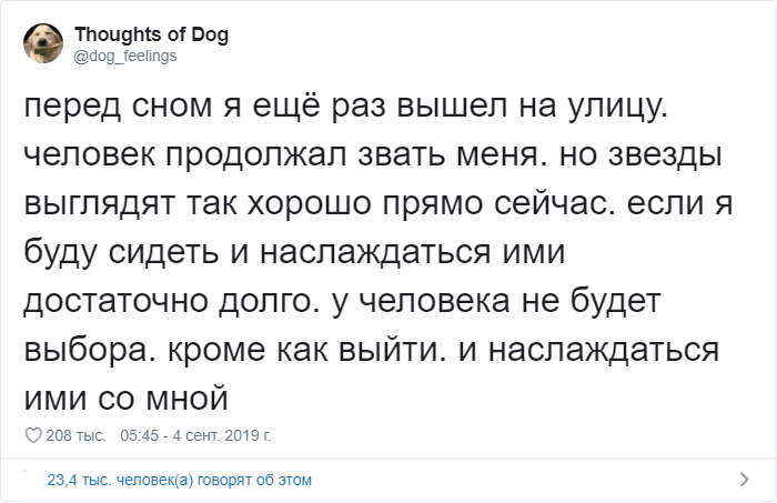 Мысли собаки странный и милый аккаунт в Твиттере