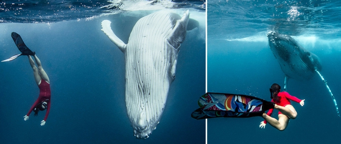 Невероятные кадры фридайвер плавает с огромными китами
