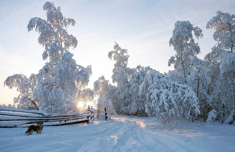 Где зима мягкая. Умеренно мягкая зима. Где в России мягкая зима. Живя в Якутии.