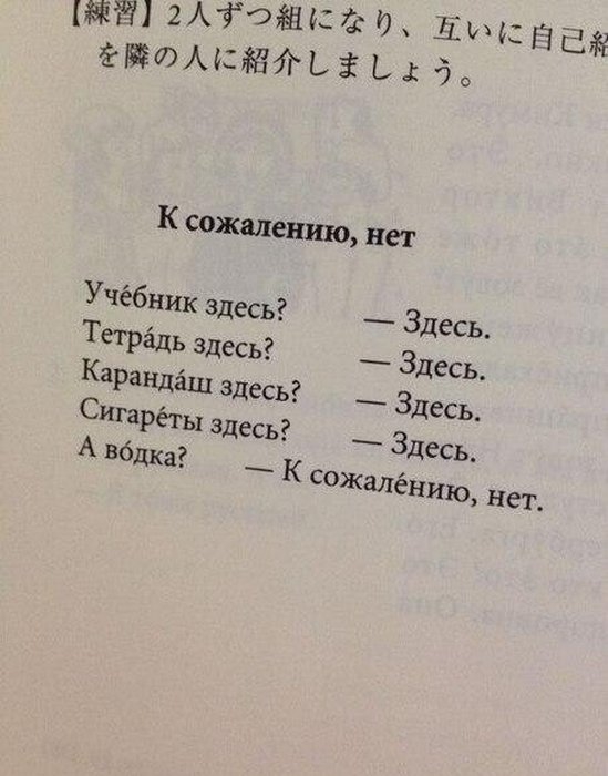 Как в разных странах учат русскому языку
