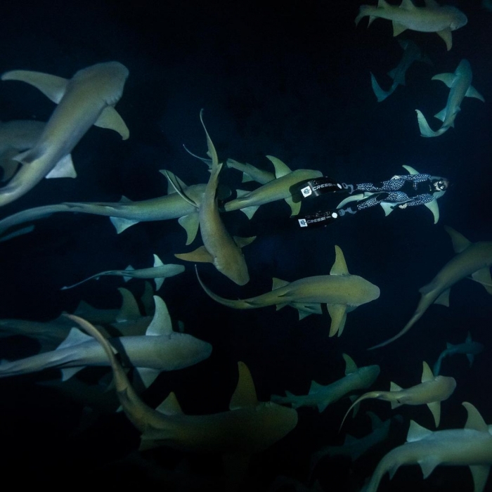 Впечатляющие подводные фотографии Хуана Олифанта