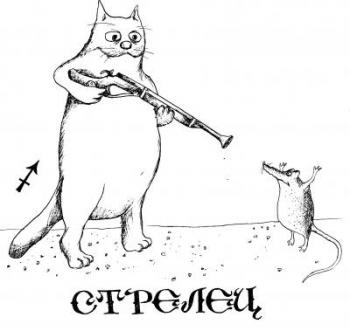 Коты в гороскопе