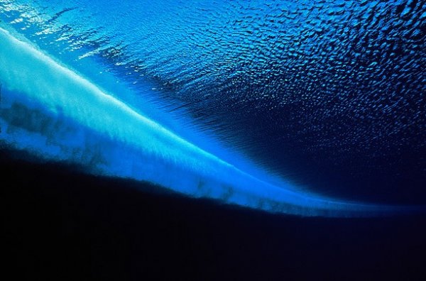 Подводный мир Антарктиды (12 фото)