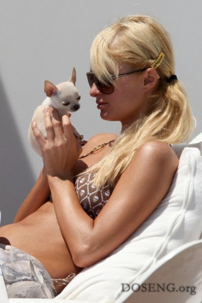 Paris Hilton (57 )