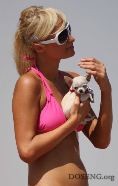 Paris Hilton (57 )