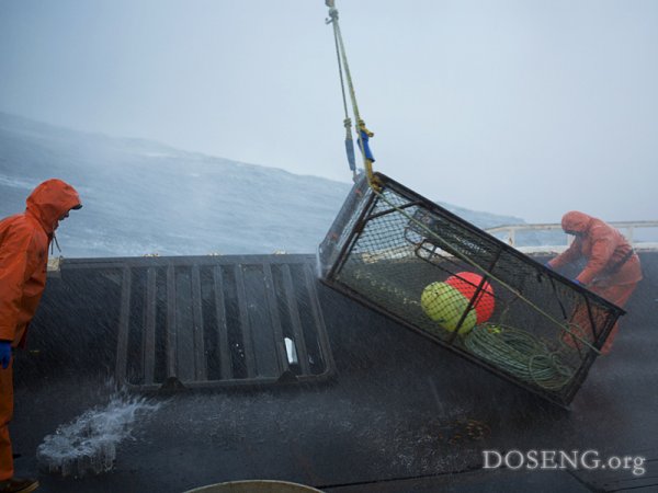 Рыбаки - ловля крабов на беринговом море