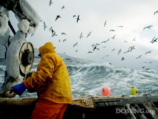 Рыбаки - ловля крабов на беринговом море