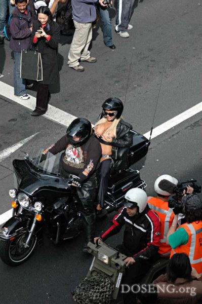   Boobs on Bikes (25 )